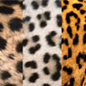 Razlika med leopardom, jaguarjem in gepardom